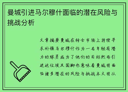 曼城引进马尔穆什面临的潜在风险与挑战分析 曼城引进马尔穆什面临的潜在风险与挑战分析