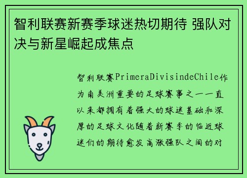 智利联赛新赛季球迷热切期待 强队对决与新星崛起成焦点 智利联赛新赛季球迷热切期待 强队对决与新星崛起成焦点