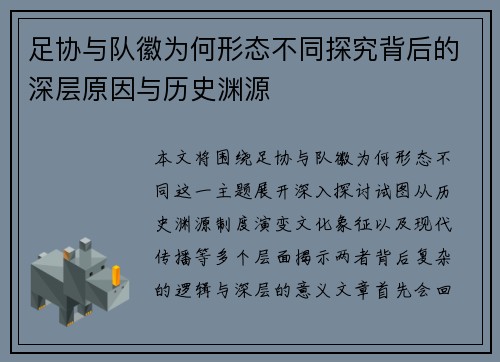 足协与队徽为何形态不同探究背后的深层原因与历史渊源 足协与队徽为何形态不同探究背后的深层原因与历史渊源